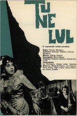 Poster de la película The Tunnel