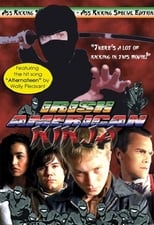 Poster de la película Irish American Ninja