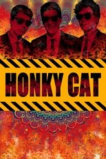 Poster de la película Honky Cat