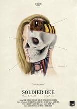 Poster de la película Soldier Bee