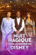 Poster de la película Magical Night in Disney World