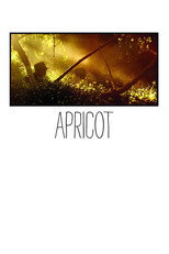 Poster de la película Apricot