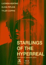 Poster de la película Starlings of the Hyperreal