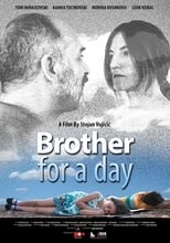 Poster de la película Brother for a Day