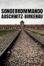 Poster de la película Sonderkommando Auschwitz-Birkenau