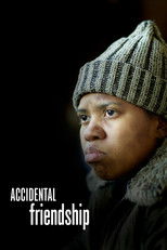Poster de la película Accidental Friendship
