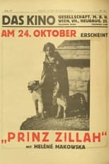 Poster de la película Il principe Zilah