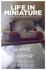 Poster de la película Life in Miniature