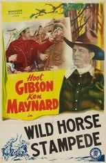 Poster de la película Wild Horse Stampede