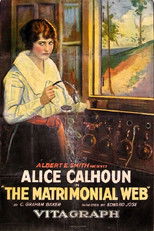 Poster de la película The Matrimonial Web
