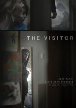 Poster de la película The Visitor