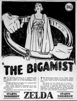 Poster de la película The Bigamist