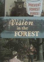 Poster de la película Vision In The Forest