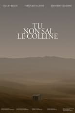 Poster de la película TU NON SAI LE COLLINE