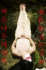 Poster de la película Two Sides of the Rotted Wood