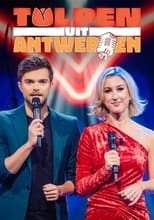 Poster de la serie Tulpen uit Antwerpen