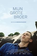 Poster de la película Mijn grote broer