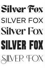 Poster de la película Silver Fox