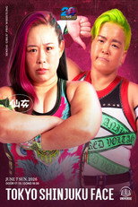 Poster de la película SENJO 20th Anniversary Tour in Shinjuku FACE ~The Sky Is the Limit~