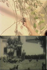 Poster de la película Las flores no quieren viento