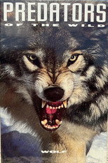 Poster de la película Predators of the Wild: Wolf