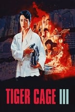 Poster de la película Tiger Cage III