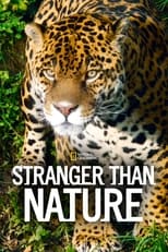 Stranger Than Nature