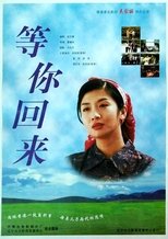 Poster de la película Wait For Your Coming Back