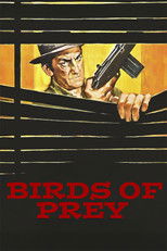 Poster de la película Birds of Prey