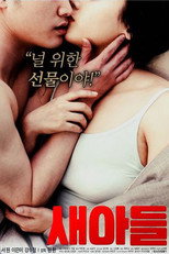 Poster de la película New Son