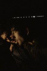Poster de la película In the Dream I Forget