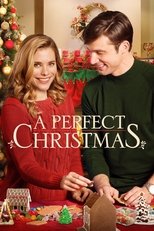 Poster de la película A Perfect Christmas