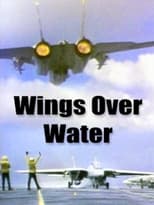 Poster de la película Wings Over Water