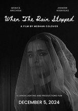 Poster de la película When The Rain Stopped