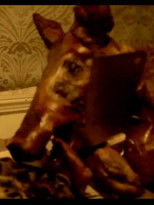 Poster de la película Landscapes