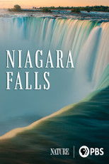 Poster de la película Niagara Falls