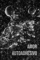 Poster de la película Self-adhesive Love