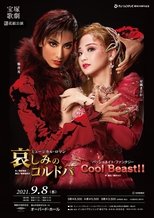 Poster de la película Sorrowful Córdoba / Cool Beast!!