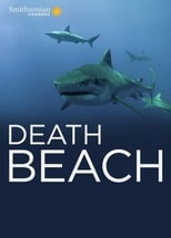 Poster de la película Death Beach