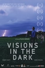 Poster de la película Visions in the Dark