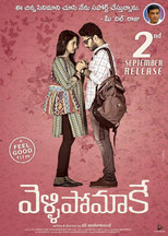 Poster de la película Vellipomakey