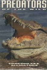 Poster de la película Predators of the Wild: Crocodiles and Alligators