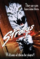 Poster de la película Strays