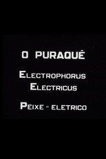 Poster de la película O Puraquê