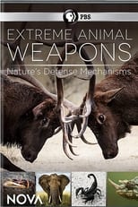 Poster de la película Extreme Animal Weapons