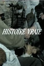 Poster de la película Histoire vraie