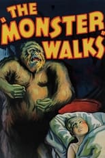 Poster de la película The Monster Walks