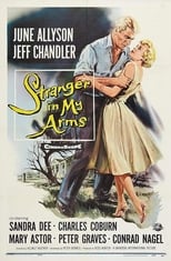 Poster de la película A Stranger in My Arms