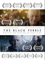 Poster de la película The Black Pebble