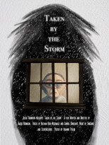 Poster de la película Taken by the Storm